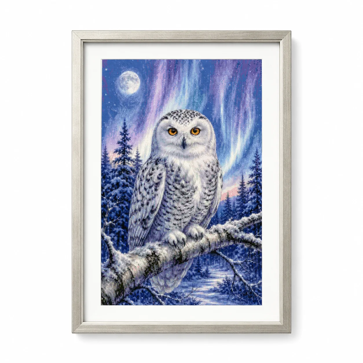 [ZZ8820-Montre hiver hibou] |  - Cross Stitch Stamped Kits Beginners avis et prix